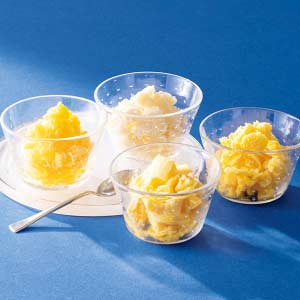 いわさきホテルズ シャーベット8個セット【夏の贈りもの・お中元】