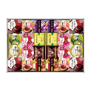 源楽製菓 和風菓子詰合せ【冬の贈りもの・お歳暮】[GR-50R]