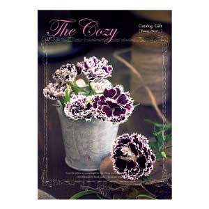 ハリカ The Cozy(ザ・コージー) パンジー【夏の贈りもの・お中元】