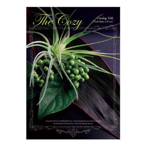 ハリカ The Cozy(ザ・コージー) ナデシコ【夏の贈りもの・お中元】