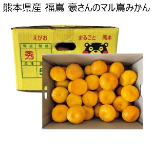 熊本県産 福嶌 豪さんのマル嶌みかん(お届け期間：12/1〜12/31)【冬の贈りもの・お歳暮】