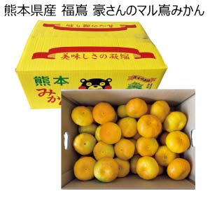 熊本県産 福嶌 豪さんのマル嶌みかん(お届け期間：12/1〜12/31)【冬の贈りもの・お歳暮】
