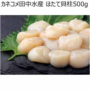 カネコメ田中水産 ほたて貝柱500g 【冬ギフト・お歳暮】