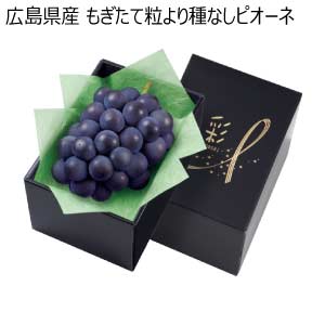 広島県産 もぎたて粒より種なしピオーネ(お届け期間：7/11〜8/10)【夏の贈りもの・お中元】