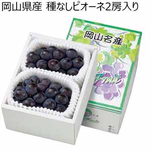 岡山県産 種なしピオーネ2房入り 【父の日】