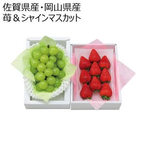 佐賀県産・岡山県産 苺＆シャインマスカット(お届け期間：12/1〜12/31)【冬の贈りもの・お歳暮】