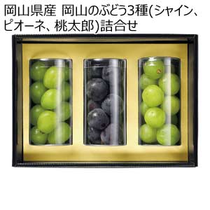 岡山県産 岡山のぶどう3種(シャイン、ピオーネ、桃太郎)詰合せ(お届け期間：7/15〜8/15)【夏の贈りもの・お中元】