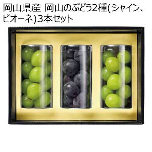 岡山県産 岡山のぶどう2種(シャイン、ピオーネ)3本セット(お届け期間：7/5〜8/15)【夏の贈りもの・お中元】