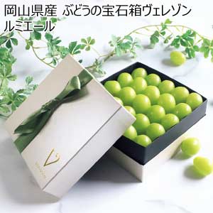 岡山県産 ぶどうの宝石箱ヴェレゾンルミエール(お届け期間：7/21〜8/15)【夏の贈りもの・お中元】