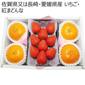 佐賀県又は長崎・愛媛県産 いちご・紅まどんな(お届け期間：11/25〜12/31)【冬の贈りもの・お歳暮】