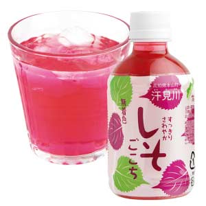 さめうらフーズ すっきりさわやかしそごこち24本セット【夏の贈りもの・お中元】