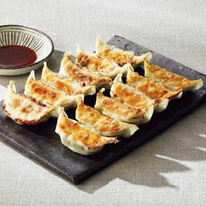 屋台骨 宮崎餃子2種(48個)セット【夏の贈りもの・お中元】