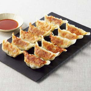 屋台骨 宮崎餃子 48個セット【冬の贈りもの・お歳暮】