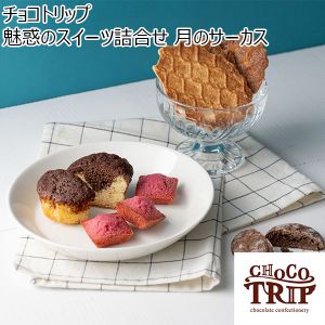 チョコトリップ 魅惑のスイーツ詰合せ　月のサーカス(2層のチョコカップケーキ、カカオクラックル、プチフィナンシェ、焦がしバターワッフルクッキー3)