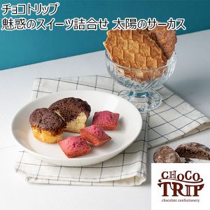 チョコトリップ 魅惑のスイーツ詰合せ　太陽のサーカス(2層のチョコカップケーキ・カカオクラックル各2、焦がしバターワッフルクッキー4、プチフィナンシェ)