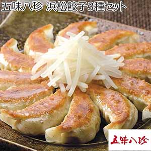 五味八珍 浜松餃子3種セット 【母の日】