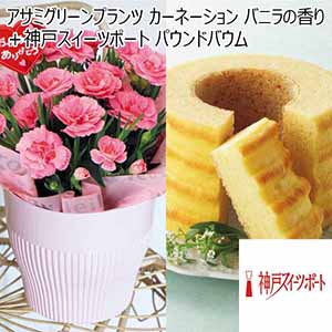 アサミグリーンプランツ カーネーション「バニラの香り」（SUSTEE付）＋神戸スイーツポート パウンドバウム 【母の日】