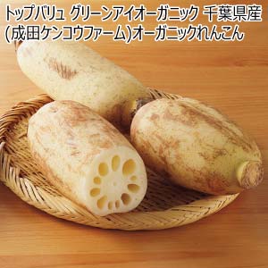 トップバリュ グリーンアイオーガニック 千葉県産(成田ケンコウファーム)オーガニックれんこん(お届け期間：11/11〜12/28)【冬の贈りもの・お歳暮】