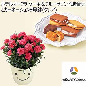 ホテルオークラ ケーキ＆フルーツサンド詰合せとカーネーション5号鉢（クレア） 【母の日】