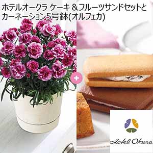 ホテルオークラ ケーキ＆フルーツサンドセットとカーネーション5号鉢(オルフェカ) 【母の日】
