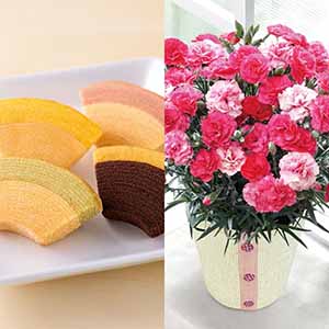 銀座千疋屋 銀座フルーツクーヘンとカーネーション(さくらもなか)【母の日】