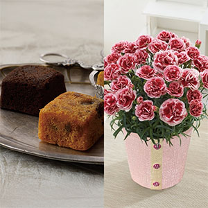 ホテルオークラ フルーツ＆チョコレートケーキとカーネーション(いちごホイップ)【母の日】