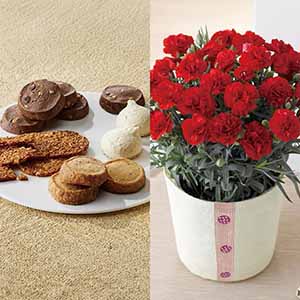 帝国ホテル クッキー詰合せとカーネーション(赤)【母の日】