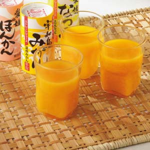 愛工房 愛媛県産柑橘ストレートジュースセット(紙容器)【夏の贈りもの・お中元】[MNP-AK]