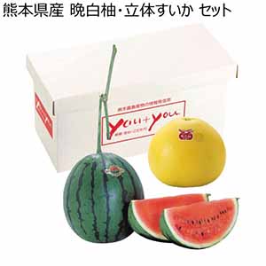 熊本県産 晩白柚・立体すいか セット (お届け期間：12/3〜12/31)【冬ギフト・お歳暮】