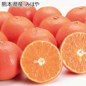 熊本県産 みはや(お届け期間：12/1〜12/15)【冬の贈りもの・お歳暮】