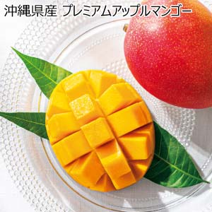 沖縄県産 プレミアムアップルマンゴー(お届け期間：6/16〜7/30)【夏の贈りもの・お中元】