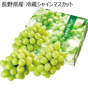 長野県産 冷蔵シャインマスカット(お届け期間：11/21〜12/20)【冬の贈りもの・お歳暮】
