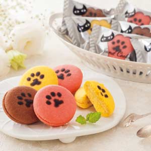 イーペルの猫祭り サンドクッキー【夏の贈りもの・お中元】[YJ-CB]