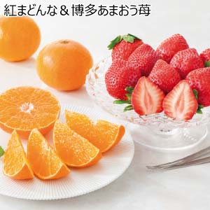 紅まどんな＆博多あまおう苺(お届け期間：12/1〜12/21)【冬の贈りもの・お歳暮】[H-BARC]