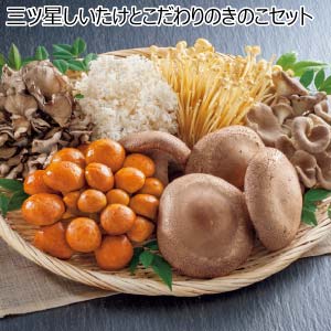 三ツ星しいたけとこだわりのきのこセット(お届け期間：11/21〜12/28)【冬の贈りもの・お歳暮】