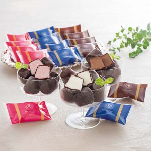 銀座京橋 レ ロジェ エギュスキロール ショコラアイスボール【夏の贈りもの・お中元】[AH-RSB]