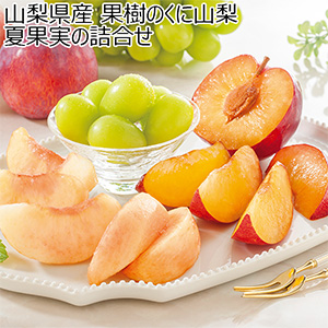 山梨県産 果樹のくに山梨 夏果実の詰合せ(お届け期間：7/22〜8/8)【夏の贈りもの・お中元】[HC-YMP]