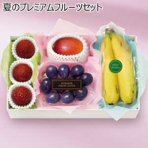 夏のプレミアムフルーツセット(お届け期間：7/15〜8/8)【夏の贈りもの・お中元】[HC-PF]