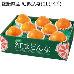 愛媛県産 紅まどんな(2Lサイズ)(お届け期間：12/1〜12/21)【冬の贈りもの・お歳暮】[H-MD2Q]