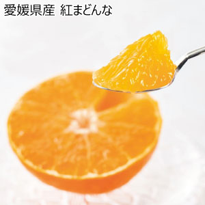 愛媛県産 紅まどんな(お届け期間：12/1〜12/21)【冬の贈りもの・お歳暮】[H-MDQ]
