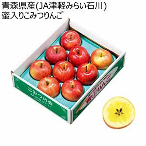 青森県産(JA津軽みらい石川) 蜜入りこみつりんご (お届け期間：11/25〜12/31)【冬ギフト・お歳暮】