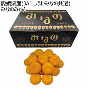 愛媛県産(JAにしうわみなの共選) みなのみかん (お届け期間：11/21〜12/30)【冬ギフト・お歳暮】