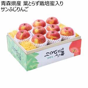 青森県産 葉とらず栽培蜜入りサンふじりんご (お届け期間：12/1〜12/28)【冬ギフト・お歳暮】