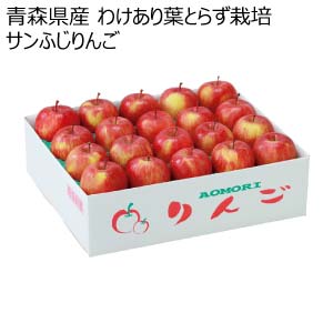 青森県産 わけあり葉とらず栽培サンふじりんご(お届け期間：12/1〜12/29)【冬の贈りもの・お歳暮】