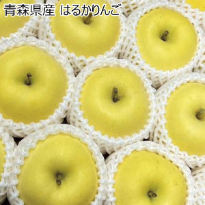青森県産 はるかりんご(お届け期間：12/2〜12/23)【冬の贈りもの・お歳暮】