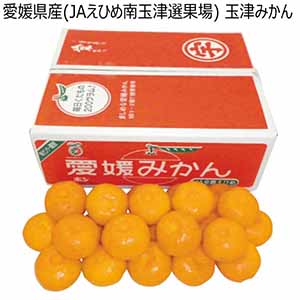 愛媛県産(JAえひめ南玉津選果場) 玉津みかん (お届け期間：11/21〜12/31)【冬ギフト・お歳暮】