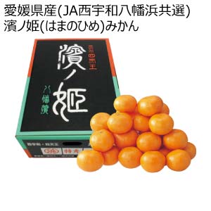 愛媛県産 JAにしうわ 真穴みかん S・M・Lサイズ 3kg 【限定100点