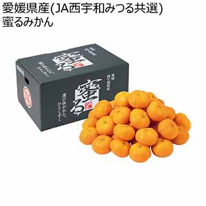 愛媛県産(JA西宇和みつる共選) 蜜るみかん (お届け期間：11/21〜12/31)【冬ギフト・お歳暮】