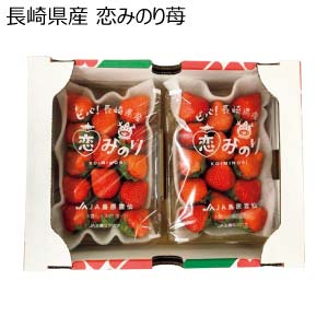 長崎県産 恋みのり苺(お届け期間：11/25〜12/31)【冬の贈りもの・お歳暮】