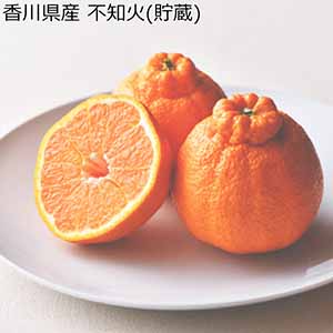 みかん・柑橘類 - イオンショップ